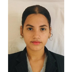 Dominga Virginia Estrella Alvarez