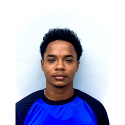 Anyelo Honorio De los Santos