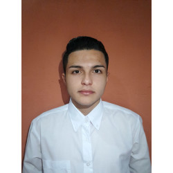 Gerald Andrés Mena Mena