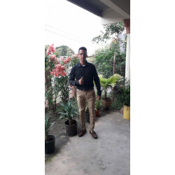pedro agustin frias bernal