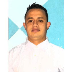 Mario Ernesto Poggio Flores