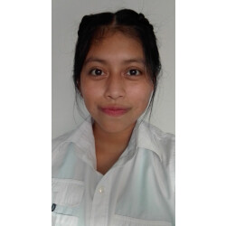 Vivian Nineth Cosajay Solano