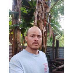 Manuel Salvador Acevedo Mora