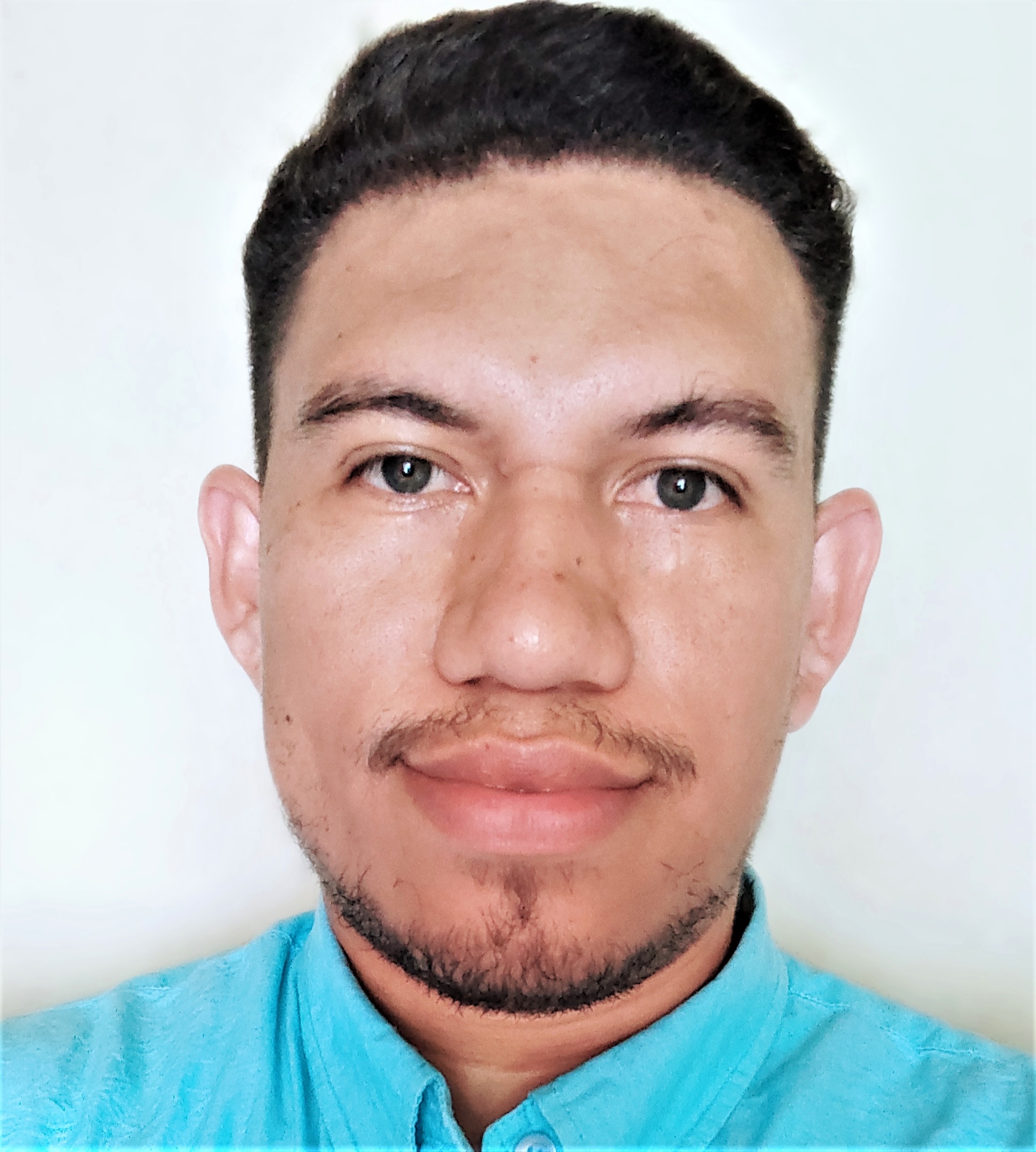 Walter Francisco Alvarado Canales