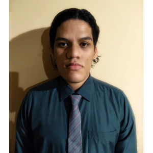 Luis Vergara Vigil