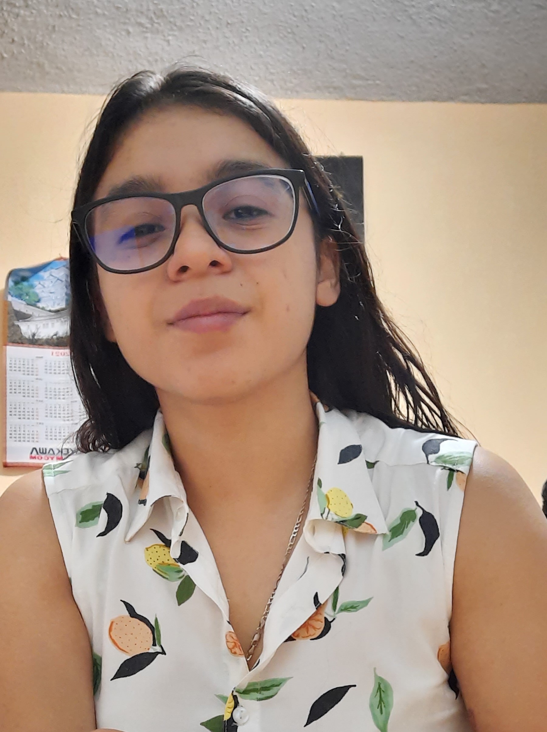 Maria De Jesus Chanchavac de Leon