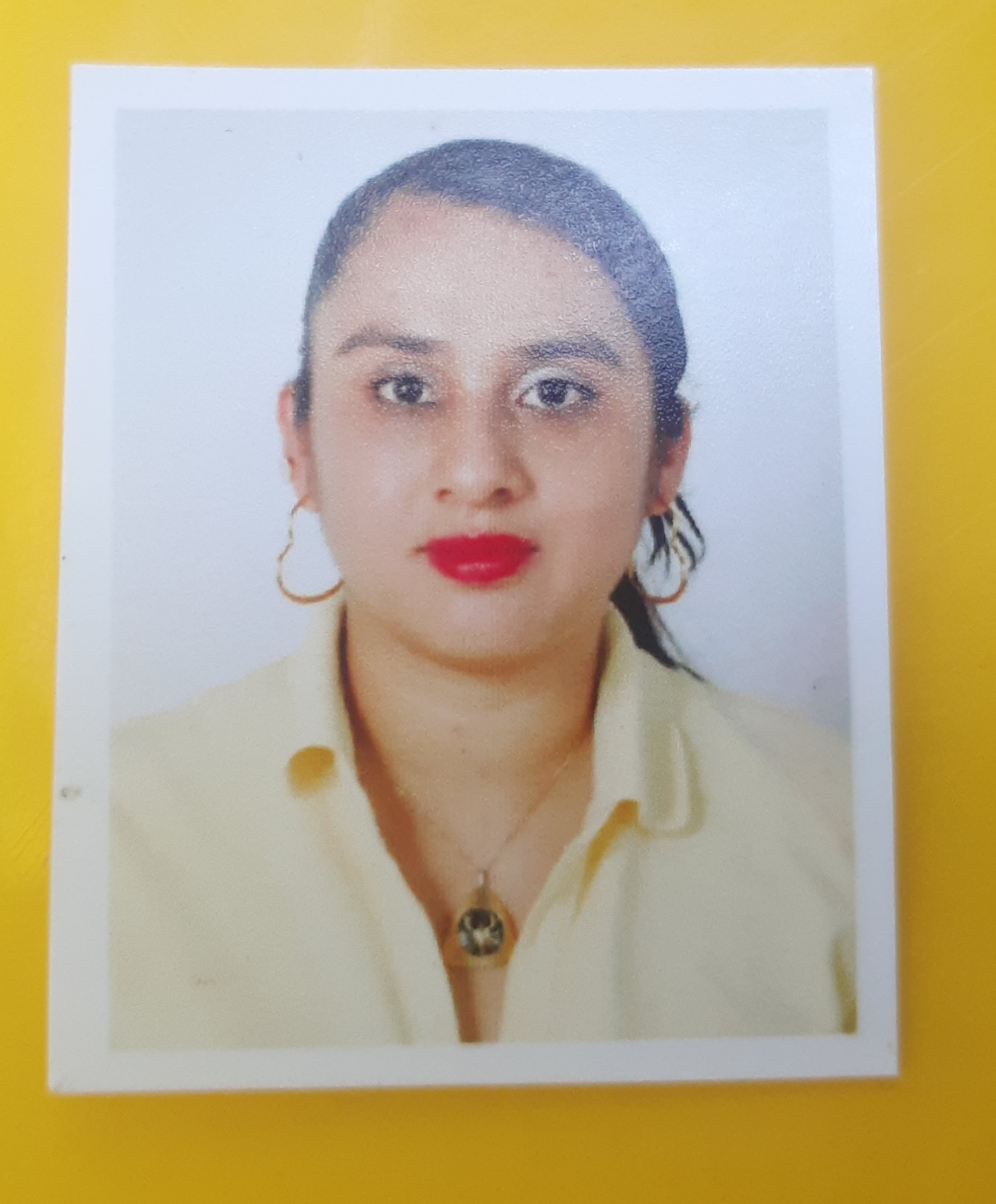 GEMA LISSETH SANCHEZ QUINTANILLA SANCHEZ QUINTANILLA Quintanilla
