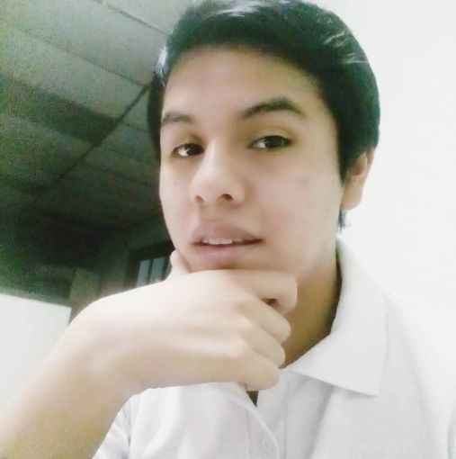 Brandon Joel Valle Castillo