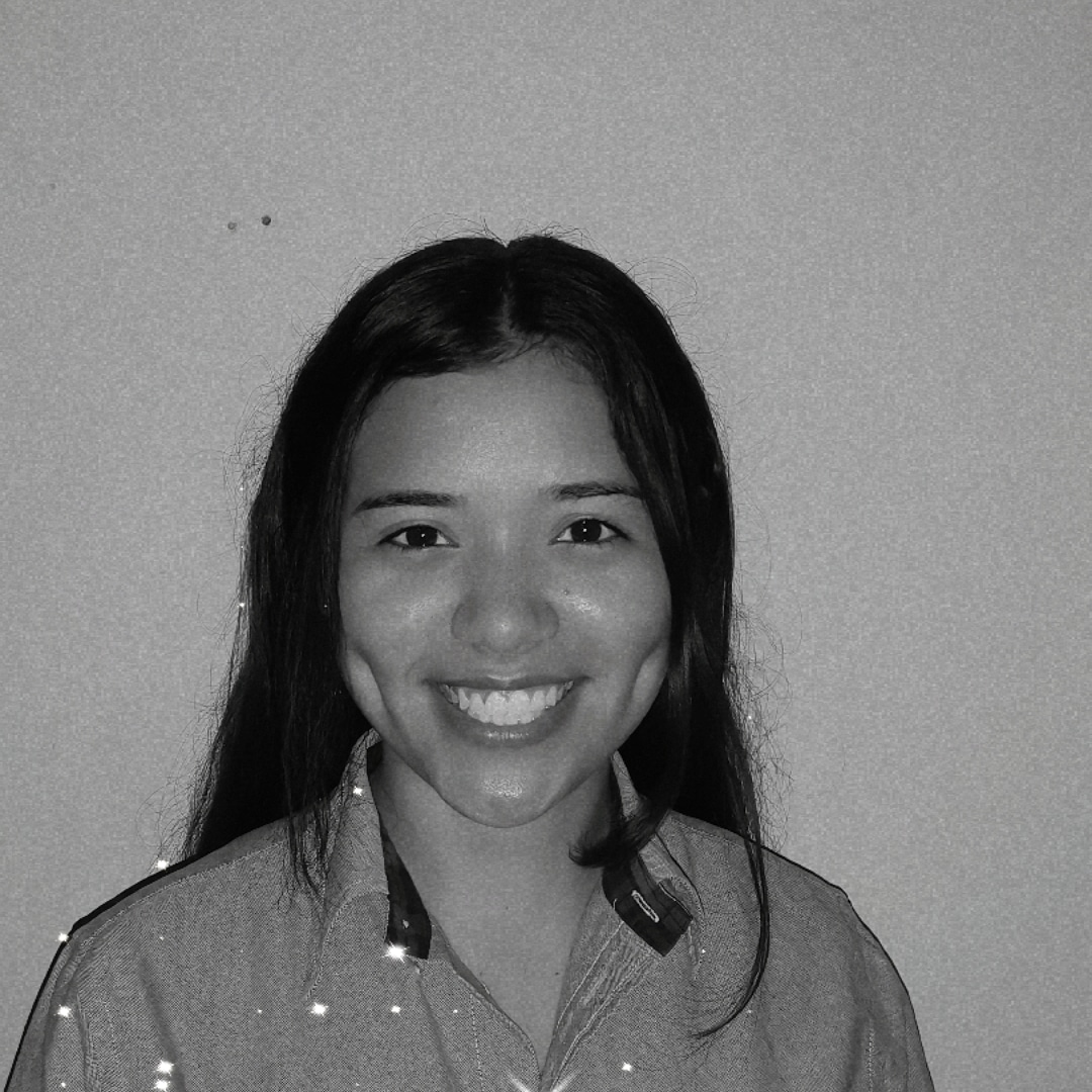 Alison Largaespada Villalobos