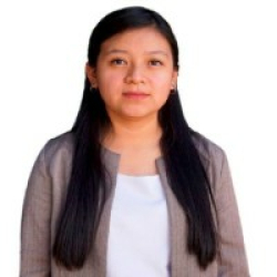 Joselin Angélica Estrada Solis