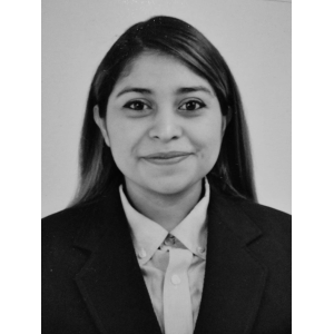 Yamileth Raquel Henriquez Sanchez