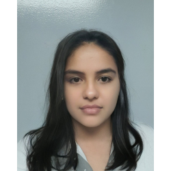 Karla Araceli Montiel Barrantes