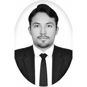 Daniel Alejandro Berrios Elvir