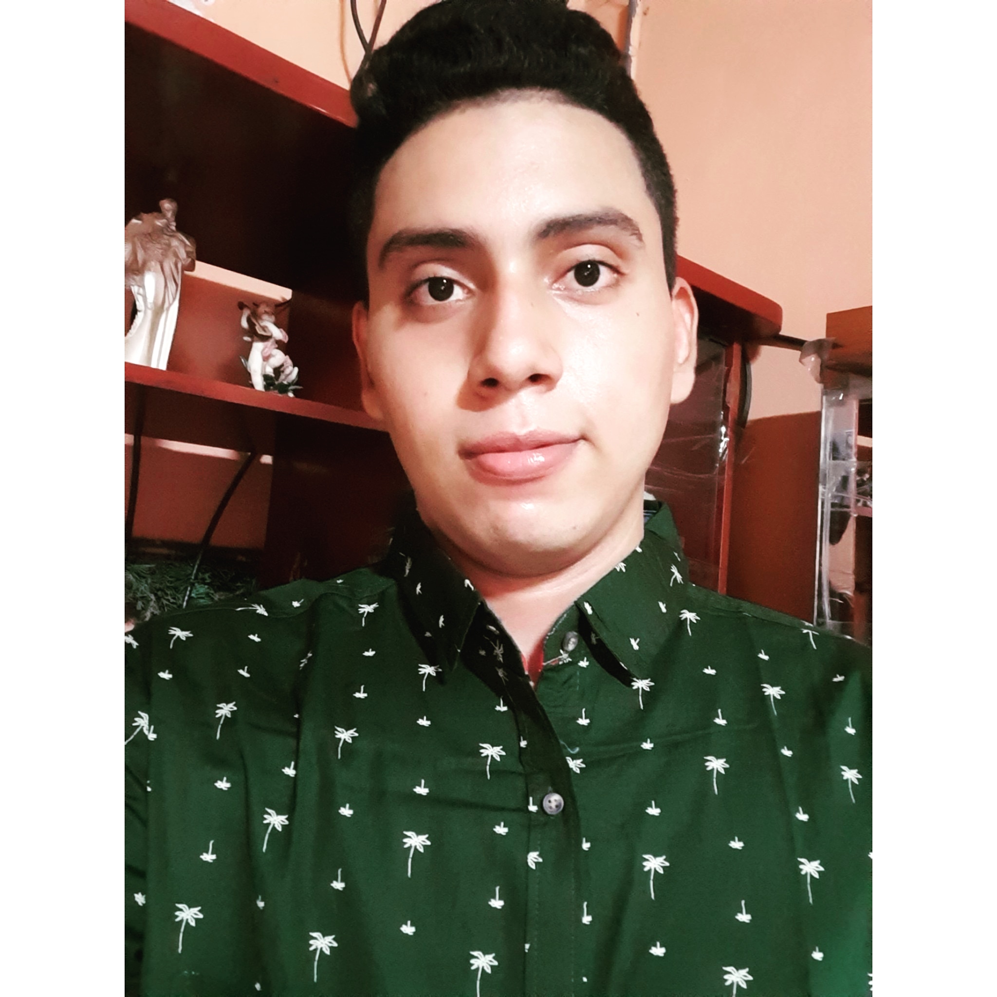 Kelvin Steven Funes Treminio