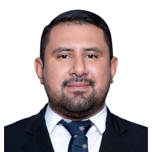 Adolfo Enrique Diaz Ruiz Francisco Javier Velasquez Claudia Maria Diaz Ruiz